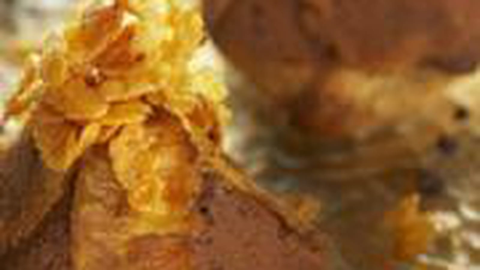 Pyramide épicée choco ananas