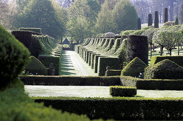 Le temps de la taille