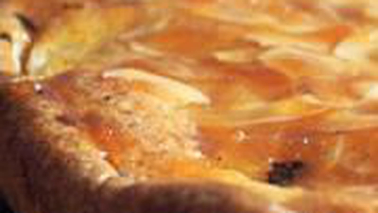 Tarte poire amandine light