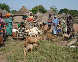 2007 mli cppr cpo16 01 scr 1 250 200