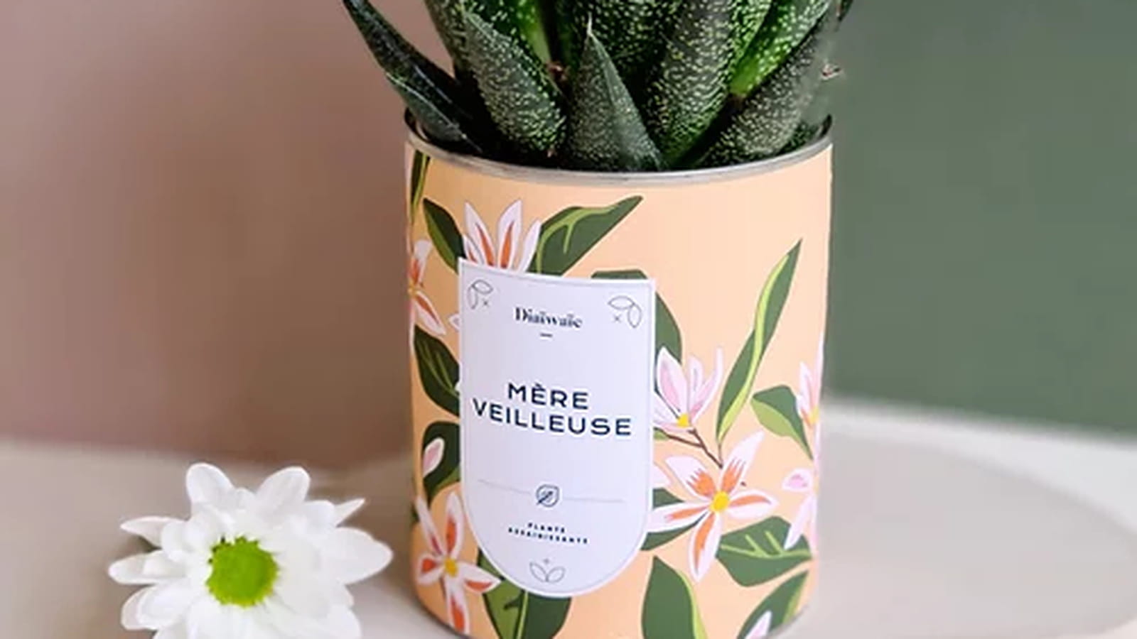 Plante à personnaliser