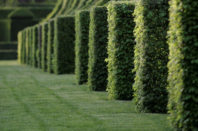 La nature se fait artiste