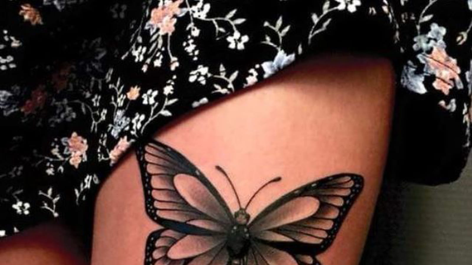 Le papillon gracieux