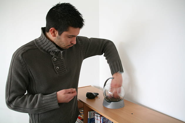 L'installation de l'aquarium