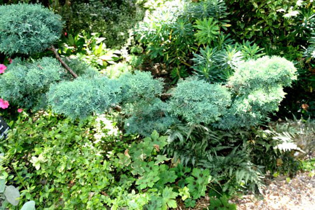 Sur plusieurs niveaux