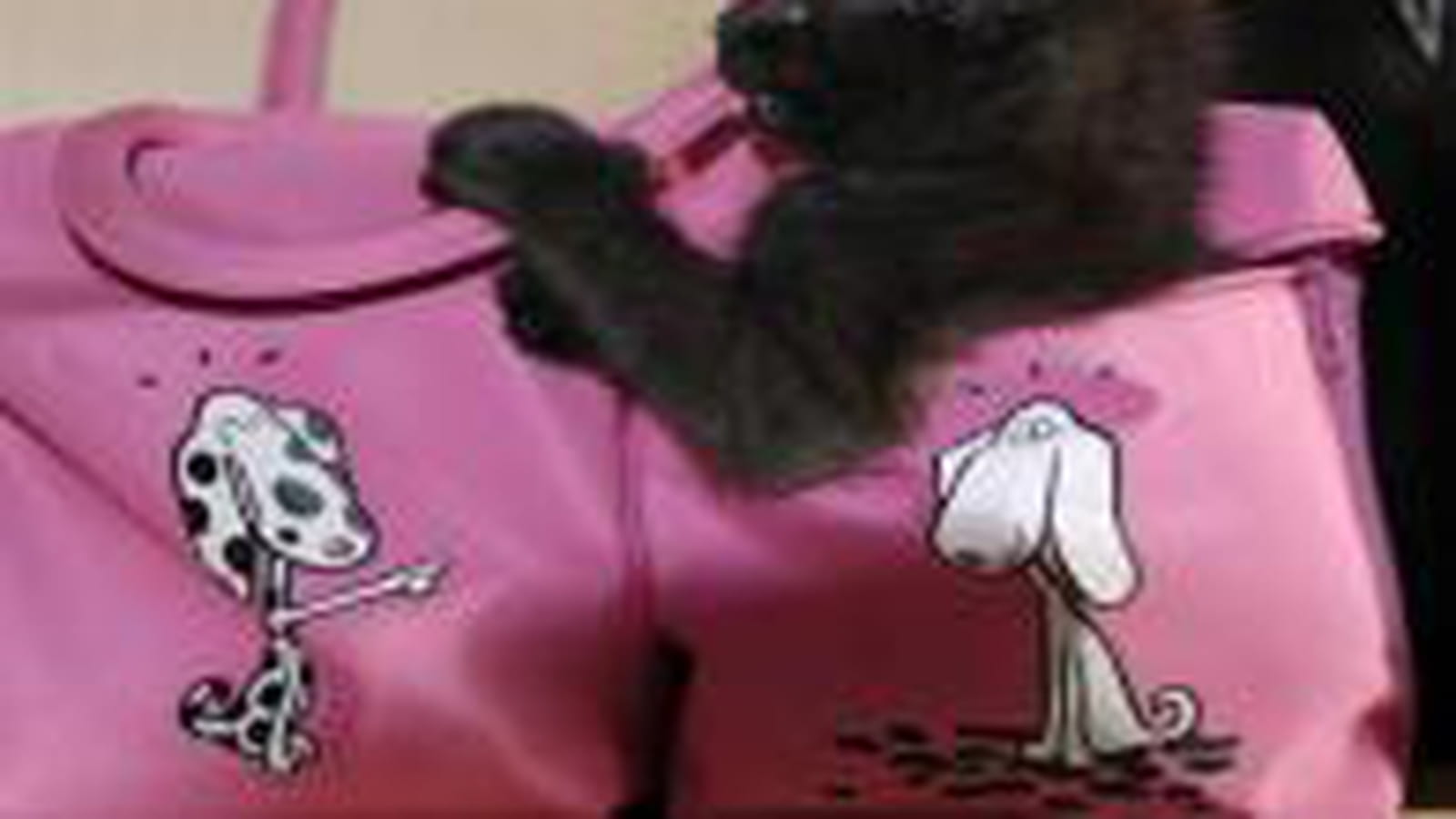 Sac de voyage