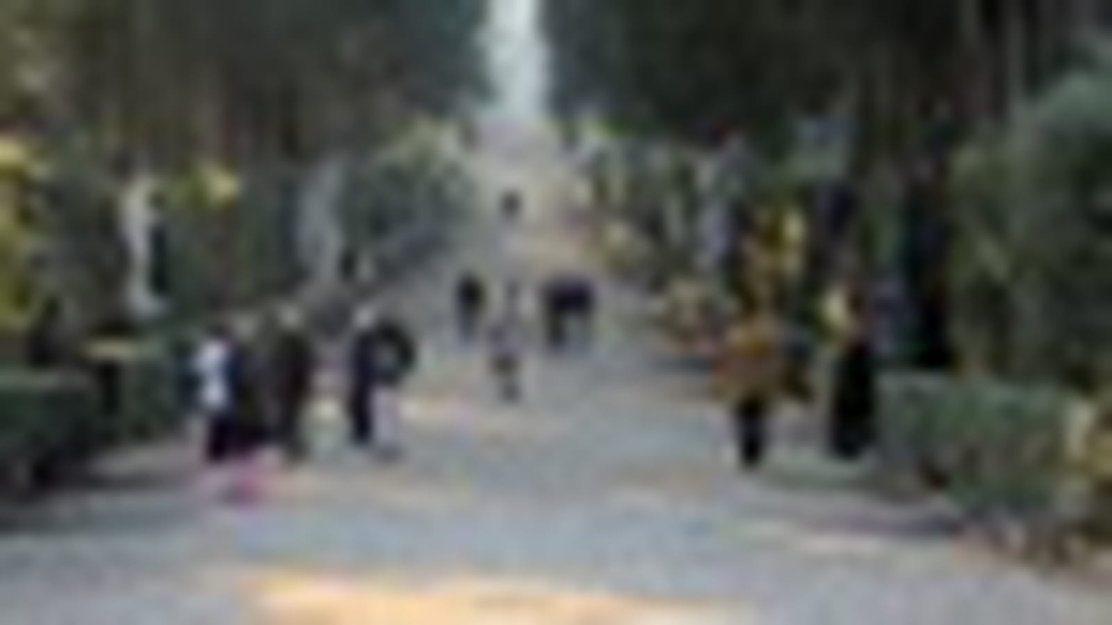 Allée
