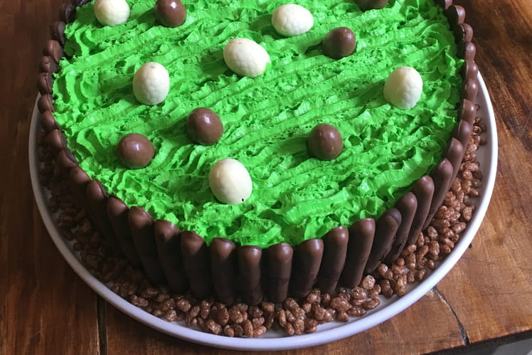Recette De Gateau De Paques Aux Fingers Et Coco Pops