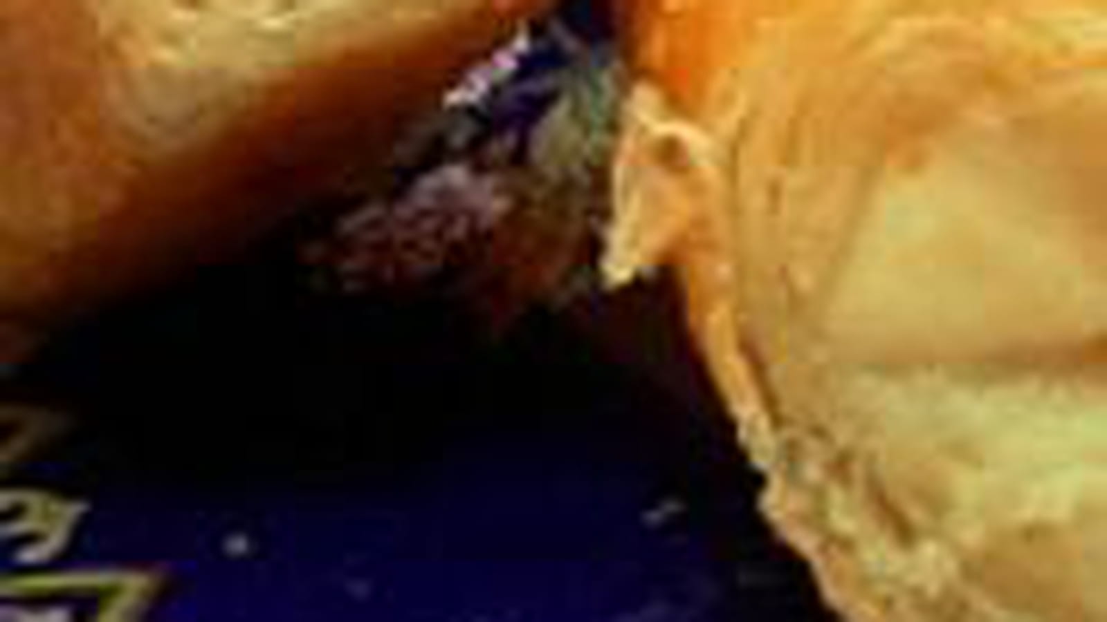 Cigares mozzarella
