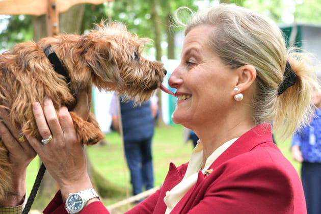 La comtesse de Wessex rencontre Gilpin