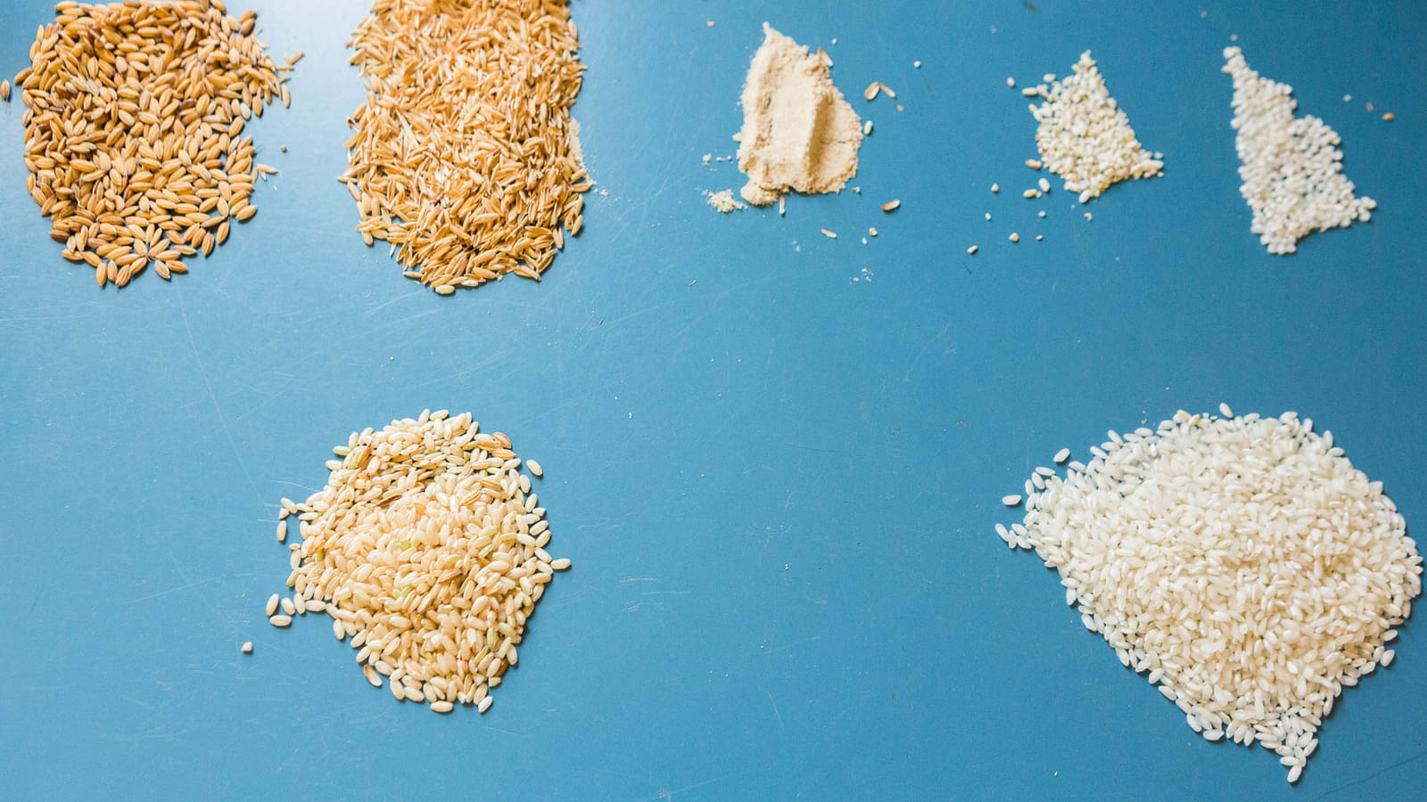 Le riz dans tous ses états