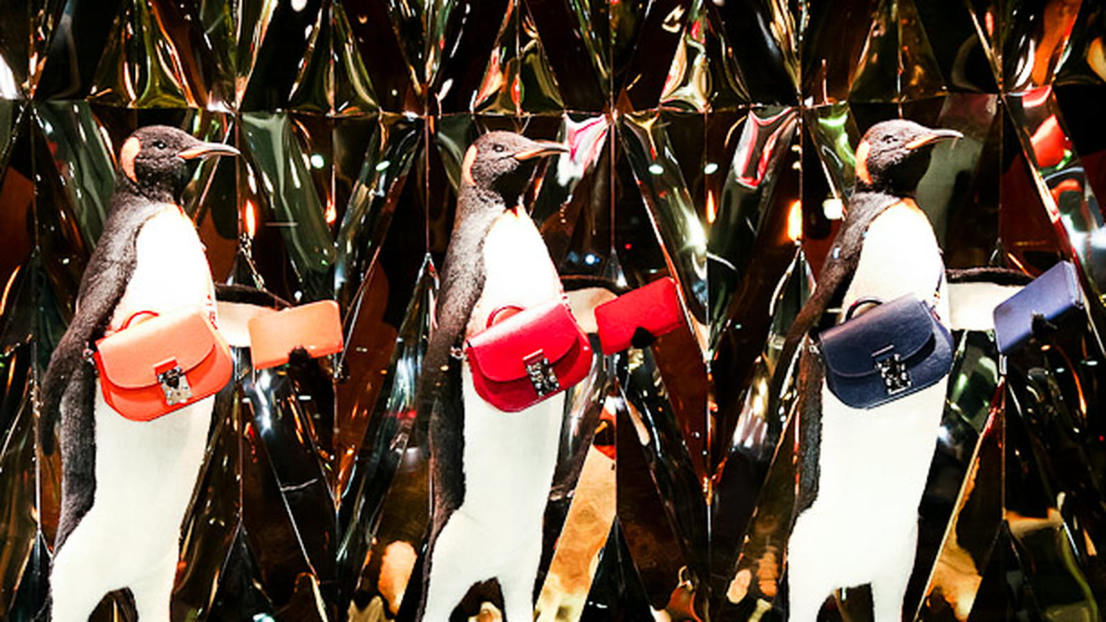 Pingouins bis