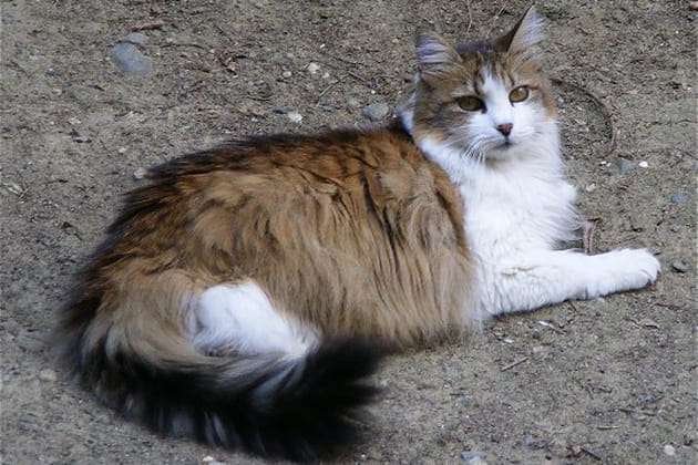 Po&eacute;sie serait-elle une grosse dormeuse&nbsp;?
