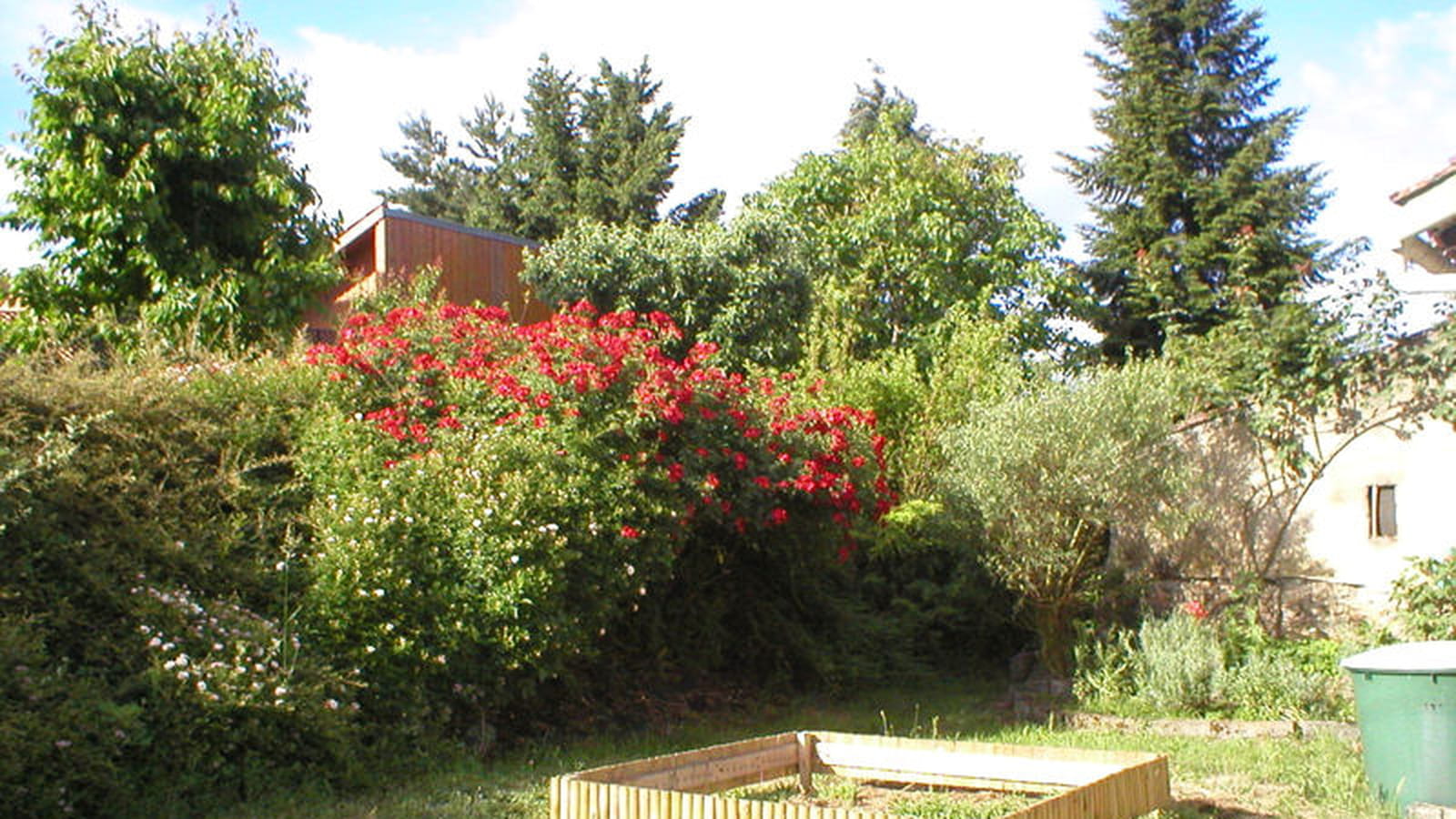Le jardin de Gaby