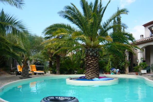 Une &icirc;le au milieu de la piscine