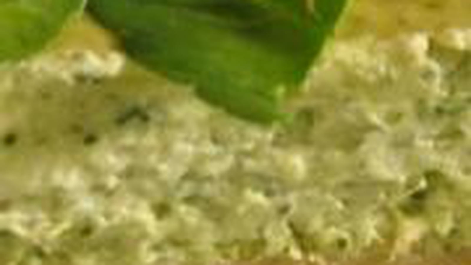 Cheesecake cresson-menthe