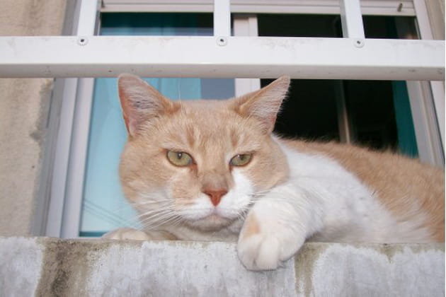 Un surnom qui &eacute;volue avec l'&acirc;ge