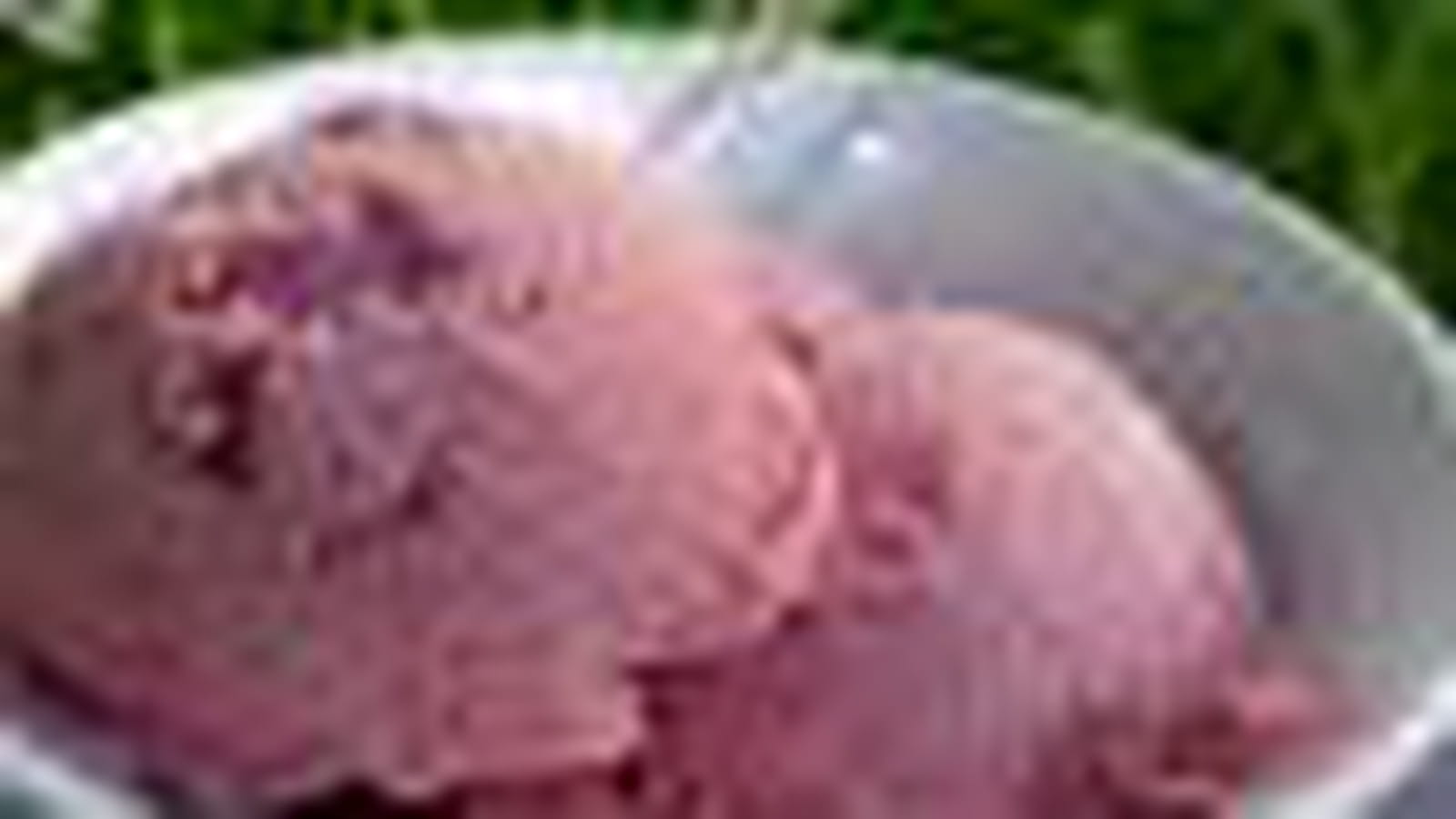 Glace au yaourt