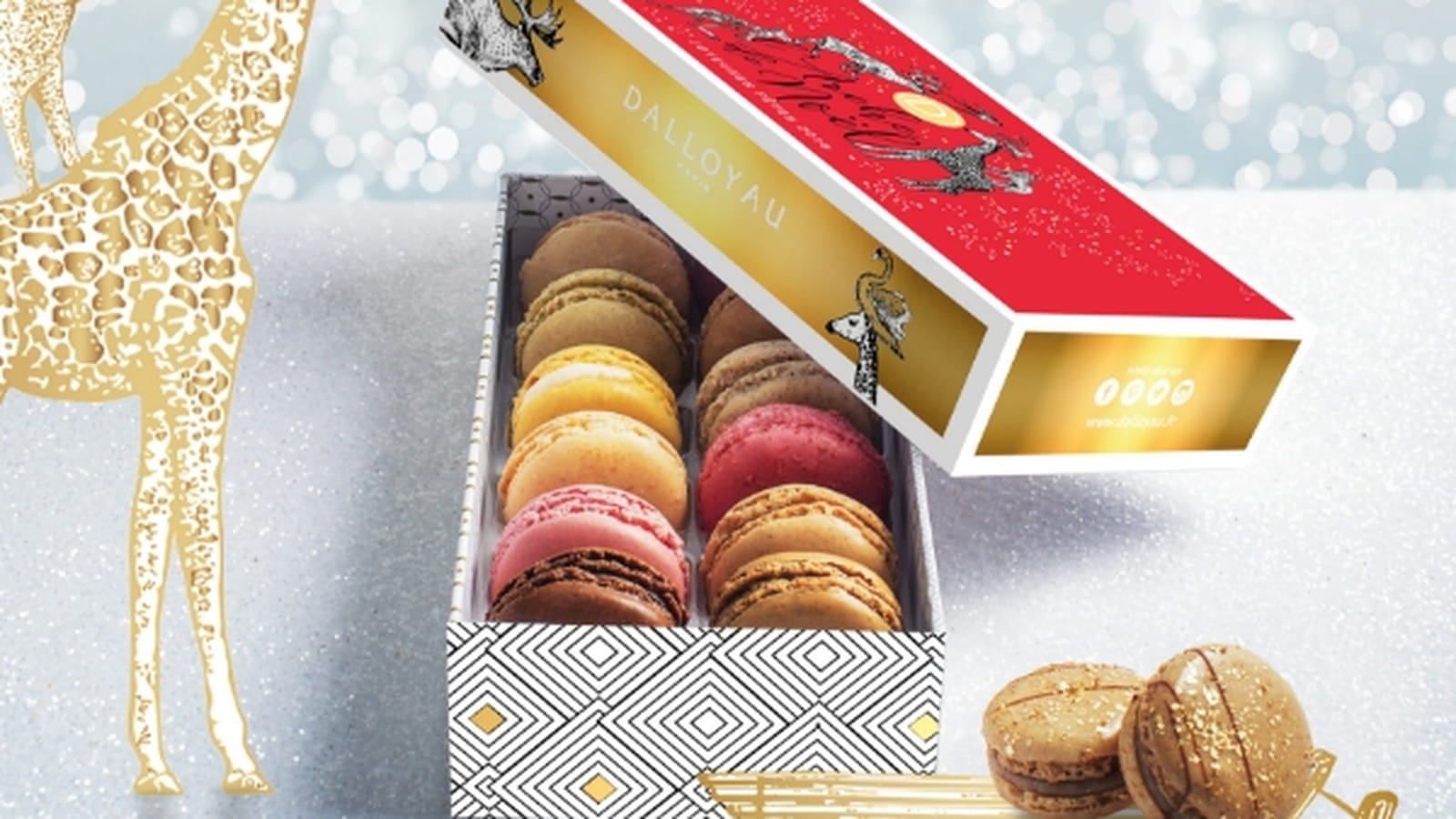 La boîte de 12 macarons de Dalloyau