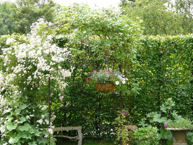 Un petit coin romantique