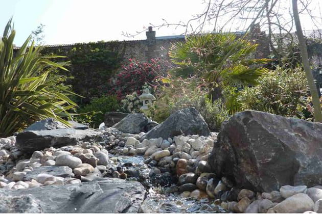 Min&eacute;ral et v&eacute;g&eacute;tal