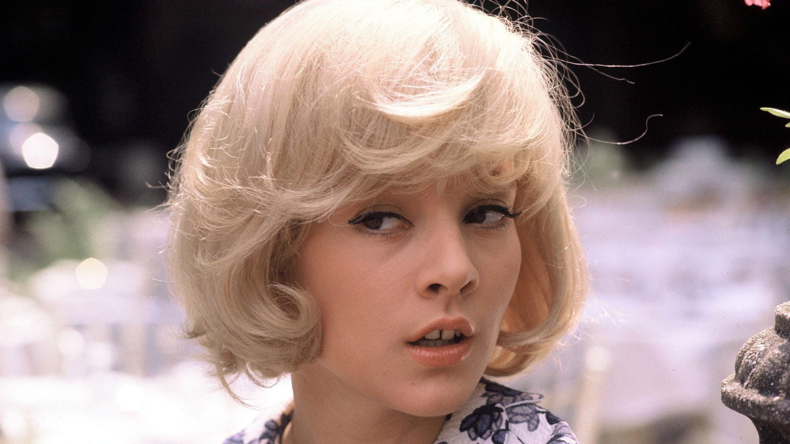 Sylvie Vartan et sa coupe boule 