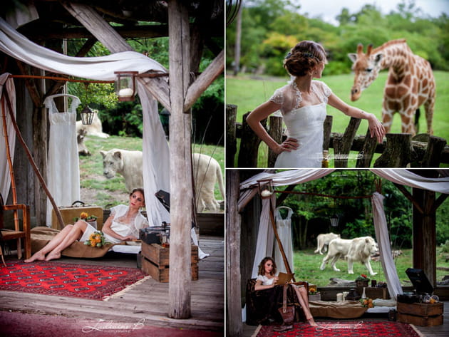 Ambiance de la brousse