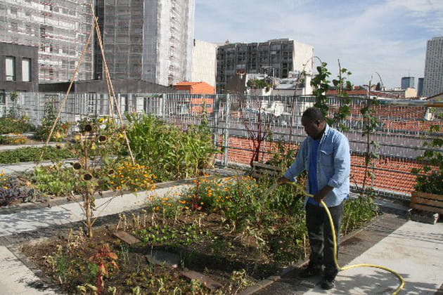 Il est grand temps d'arroser les plantes