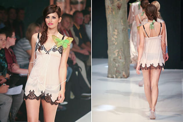 Sous une pluie en forêt : la transparence