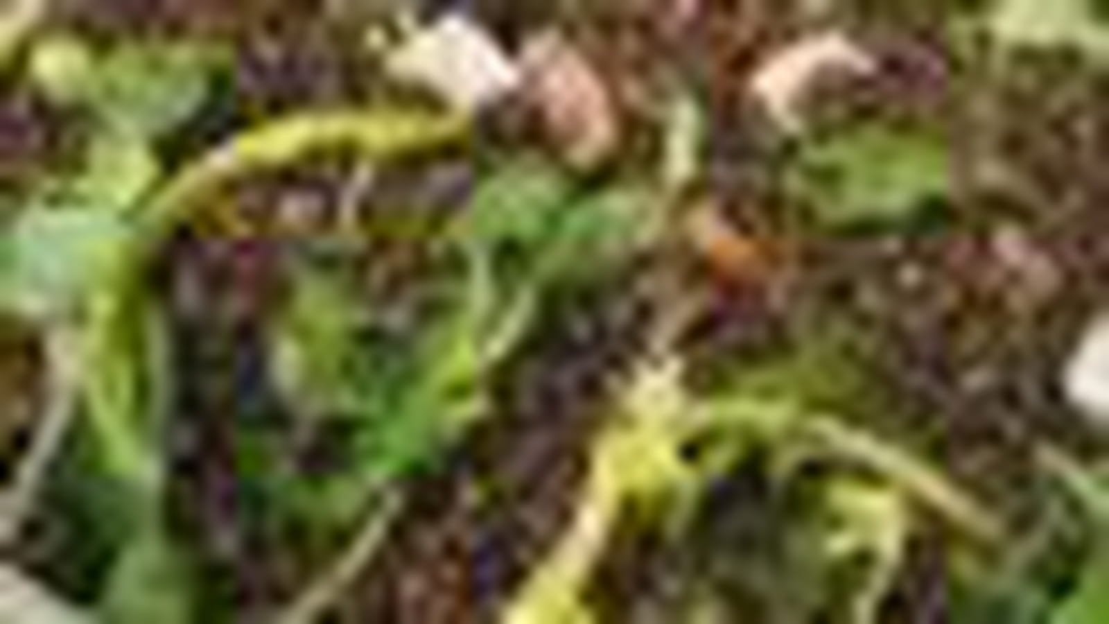 Salade de lentilles