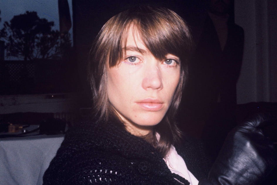 Les cheveux bruns de Fran&ccedil;oise Hardy