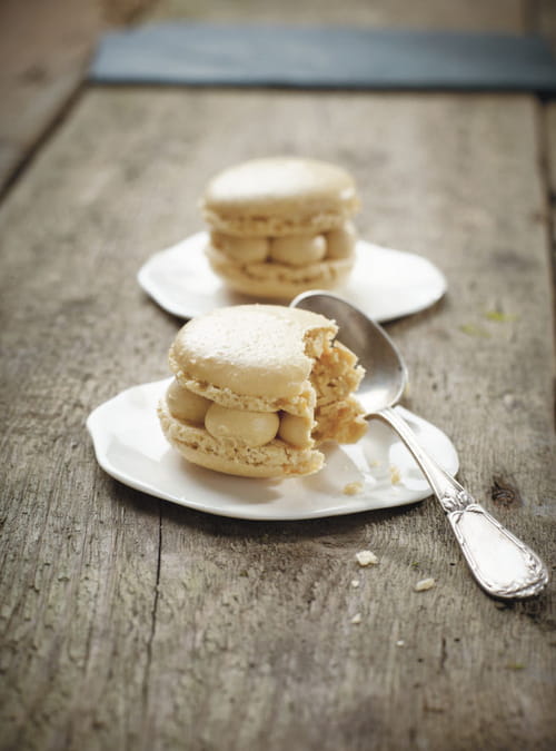 Macarons divins aux spéculoos : la recette facile
