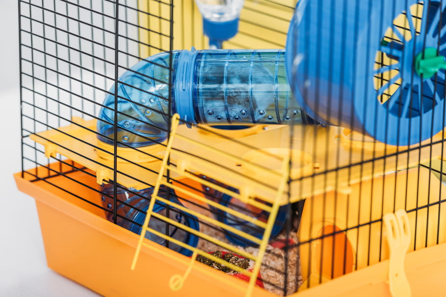 Les meilleures cages pour hamsters notre sélection