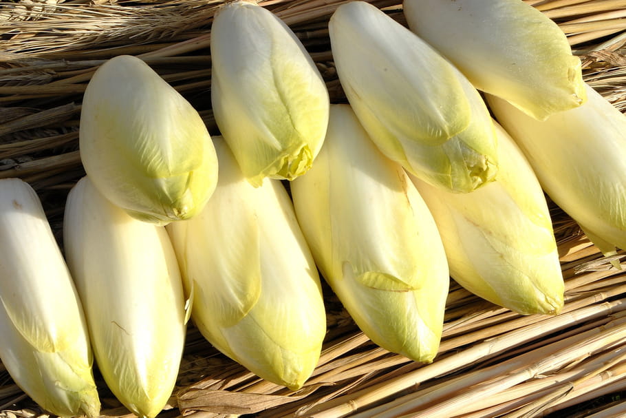 Comment enlever l'amertume des endives ?
