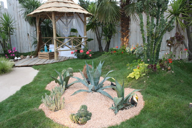 Havre de paix exotique