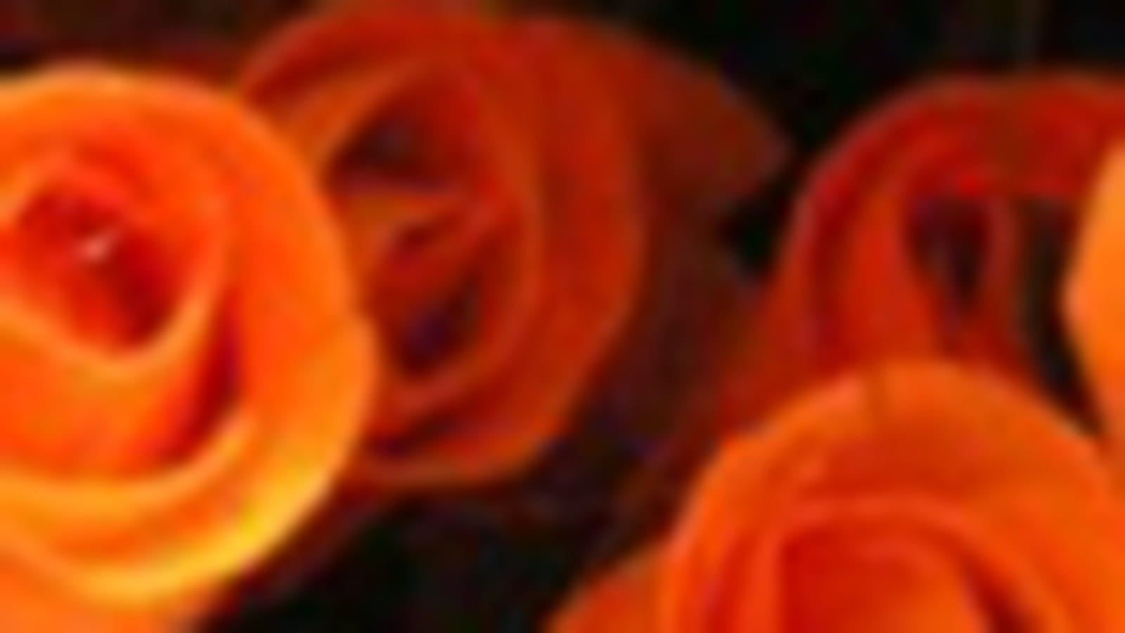 Roses artificielles