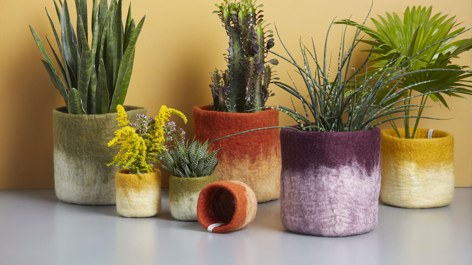 Cache-pot en laine
