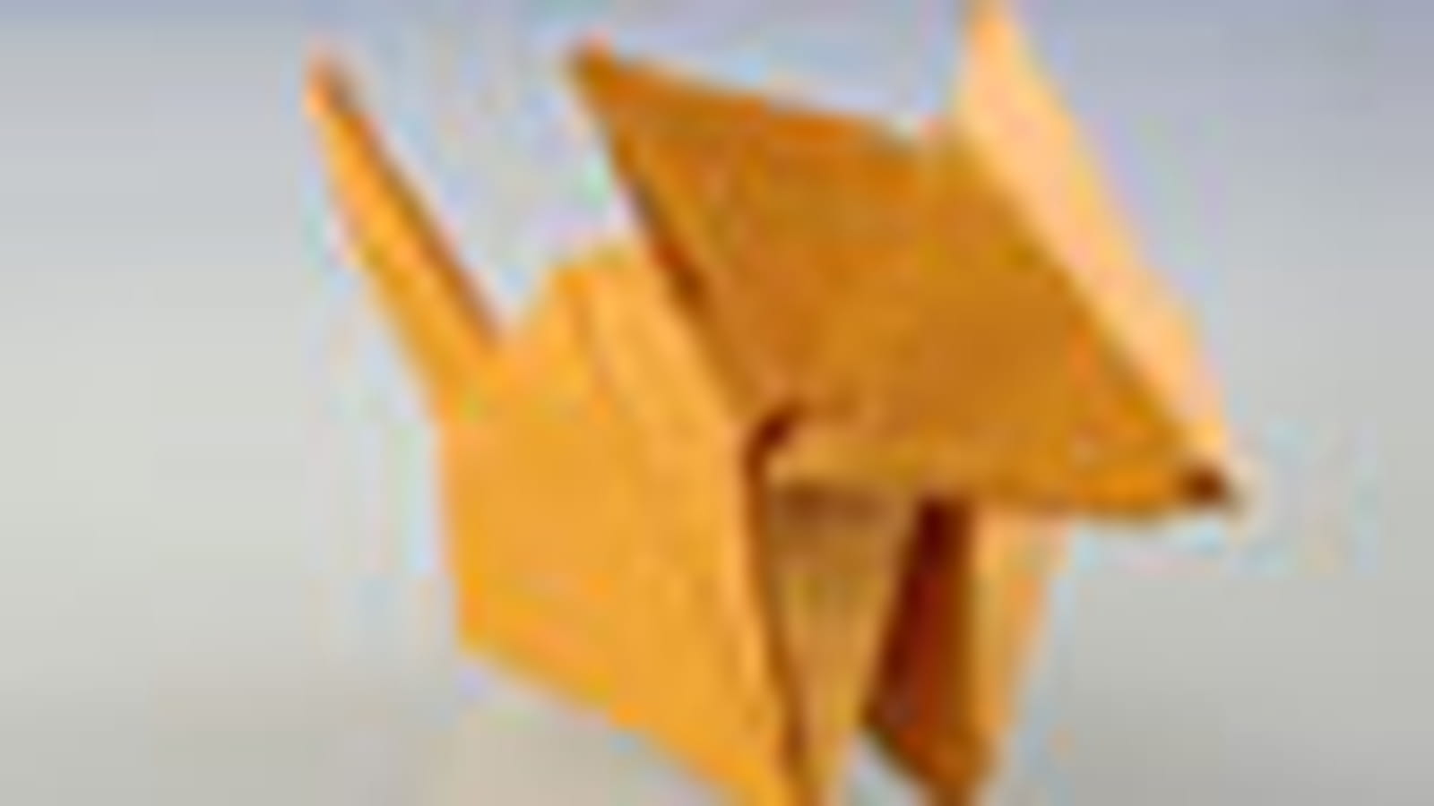 Fin