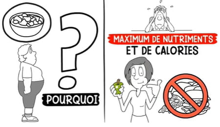 regime-jimmy-mohammed