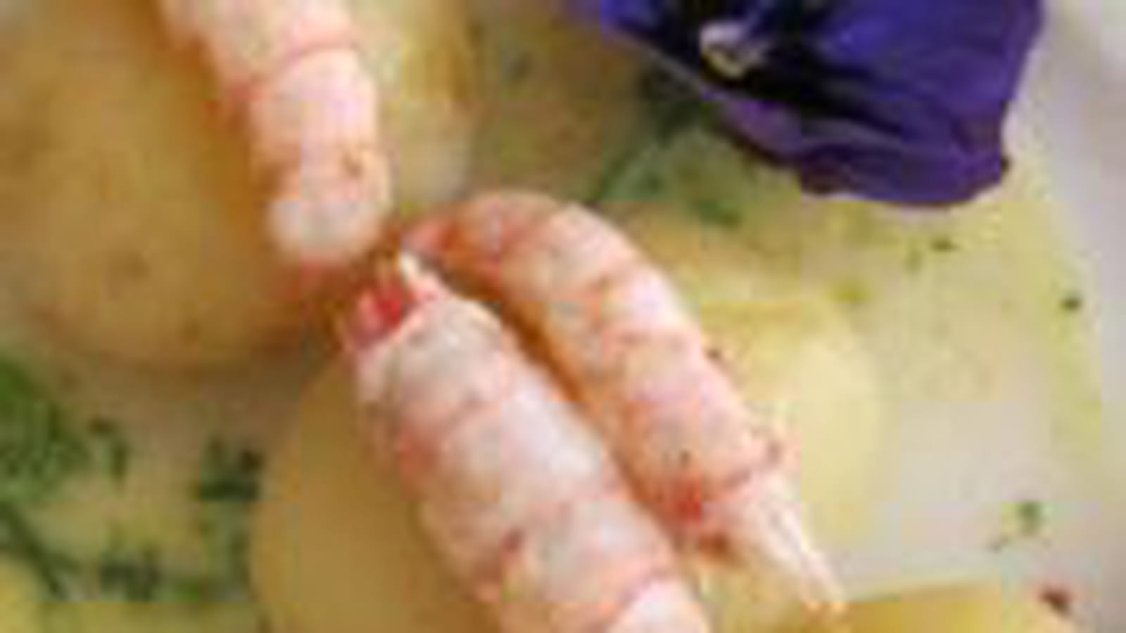 Langoustines au curry