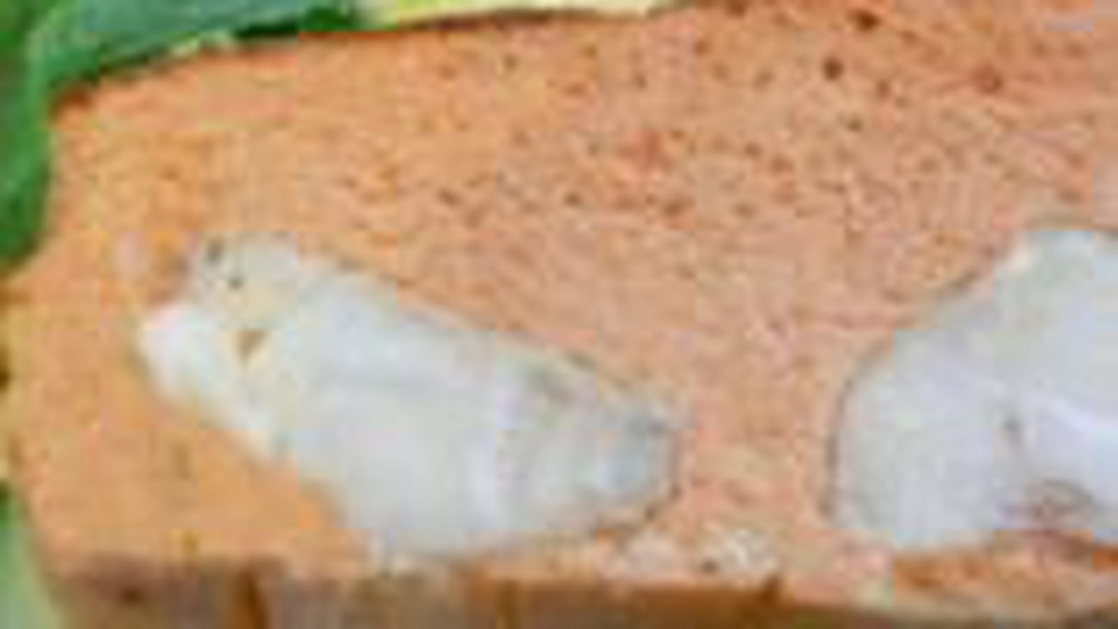 Terrine de lotte