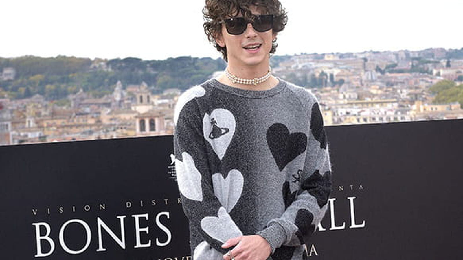 Timothée Chalamet le 12 novembre 2022