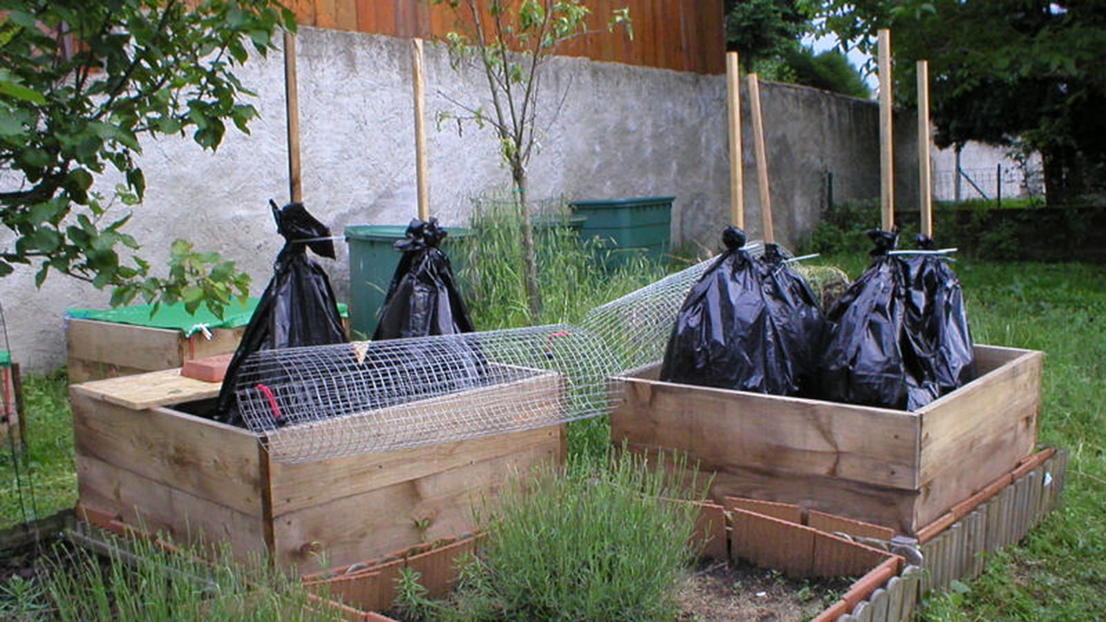 Protection des tomates