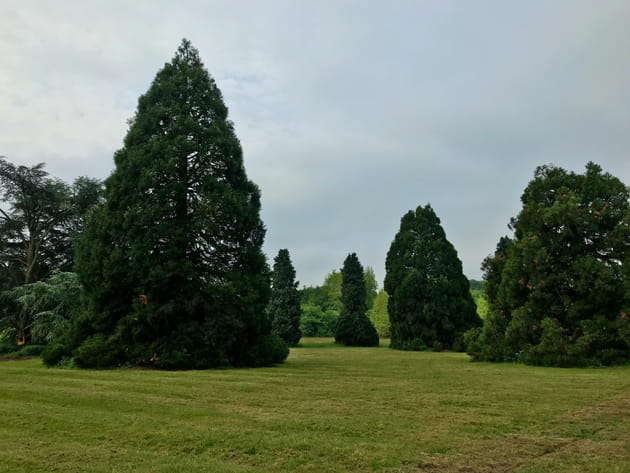 Le cercle des géants