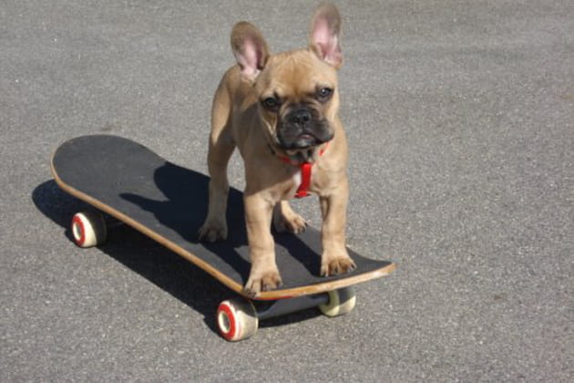 Un skateur n&eacute;