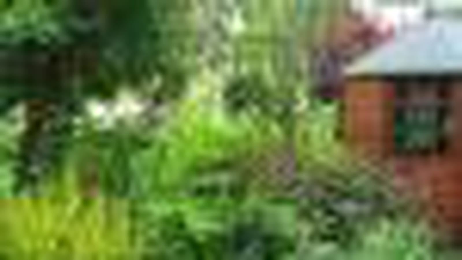 Maison de jardin