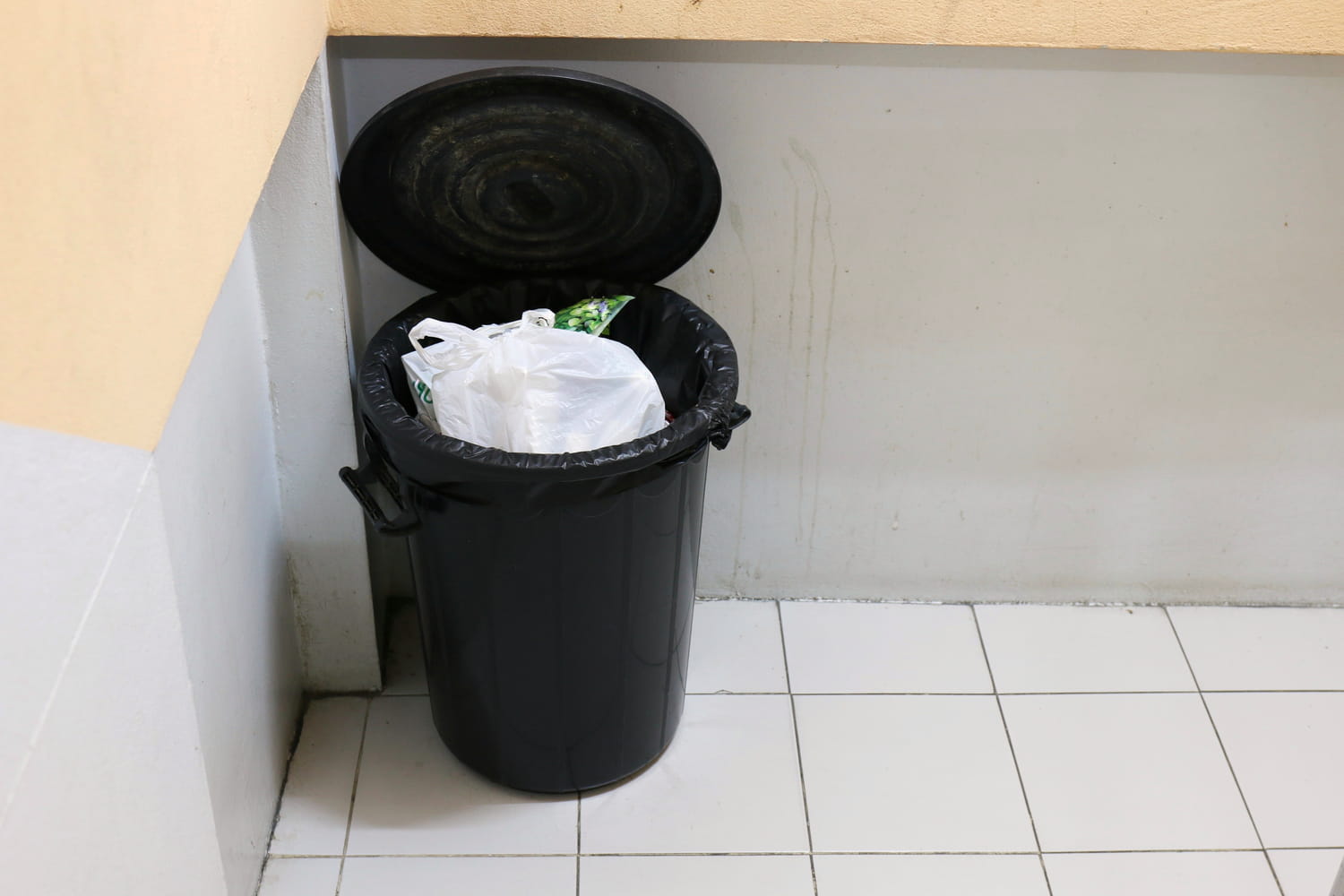 This detail in the trash blocks bad odors as soon as they appear