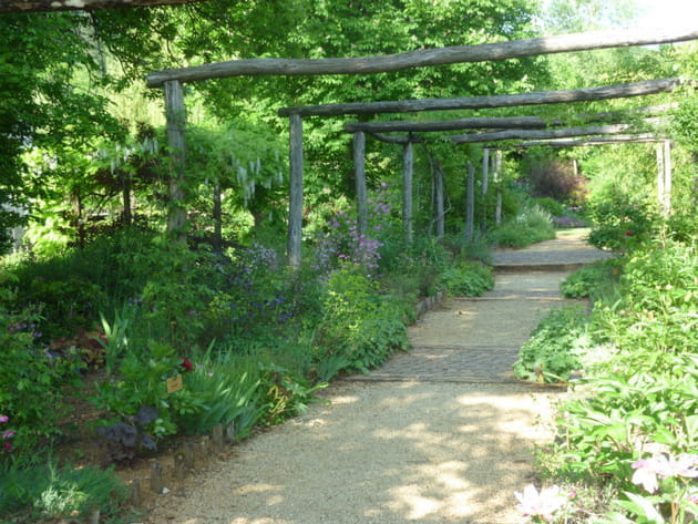 Une all&eacute;e de jardin bien structur&eacute;e