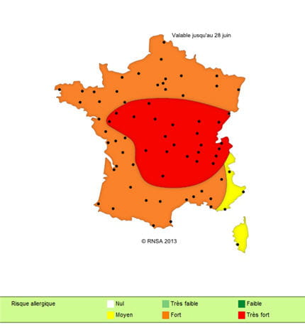 pollens graminã©es 430
