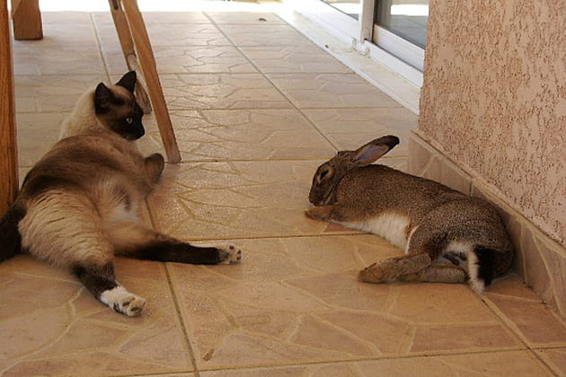 Farniente entre amis